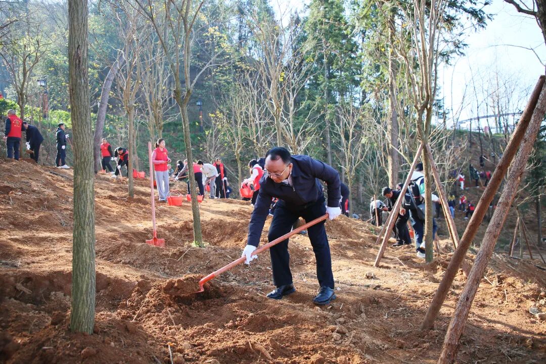 春潮湧動添新綠 生態崇義啟新篇——我縣開展2026年義務植樹活動